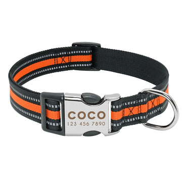 Nylon Dog Collar