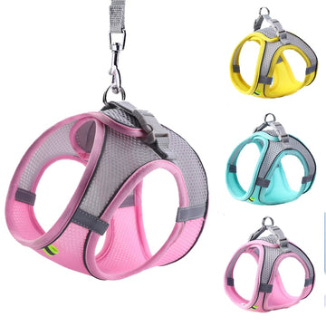 Outdoor Walking Harness